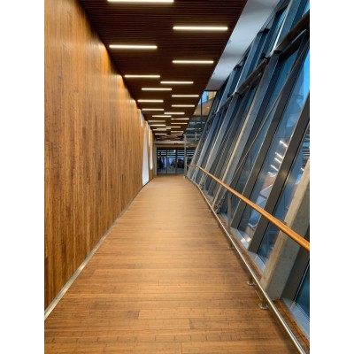 Parquet massif bambou 18X160 mm, Bamboo UltraDensity caramel BF-DS2061, brut