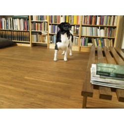 Parquet massif bambou 10X96 mm, Bamboo Supreme Density Natural BF-DT409, vernis