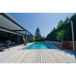 Lame de terrasse en bois Ipé Softline 20X100 mm